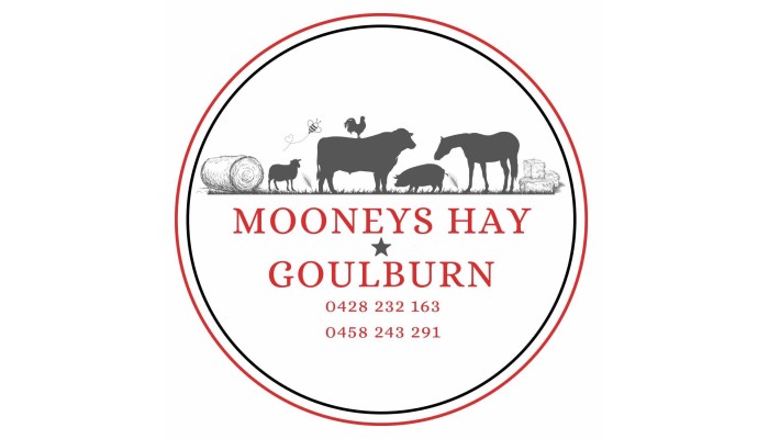 mOONEYS hAY